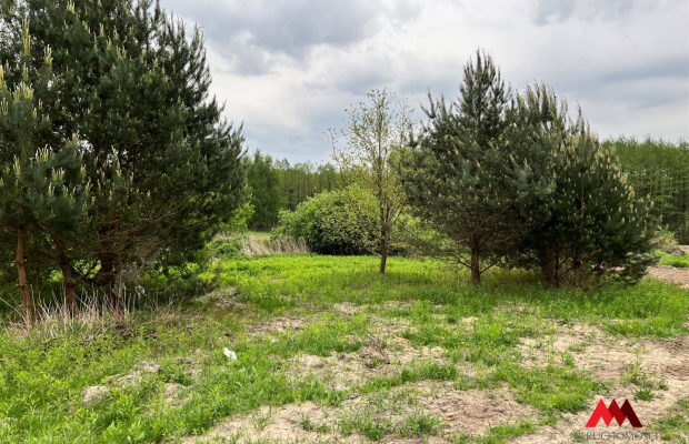 Działka Osiek /Szpetal Górny  pow: 2888 m2 