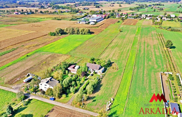 DZIAŁKA RADOMICE - SPRZEDAŻ LUB ZAMIANA