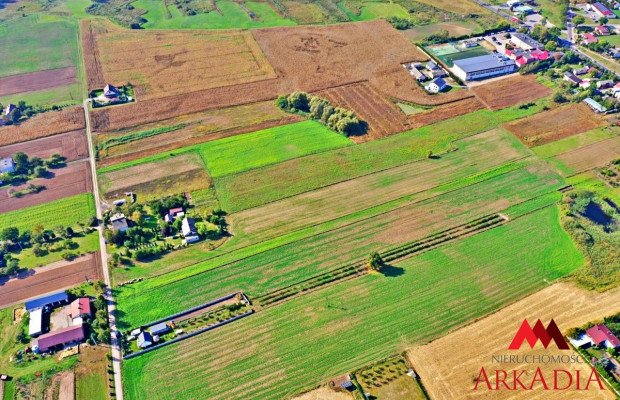 DZIAŁKA RADOMICE - SPRZEDAŻ LUB ZAMIANA