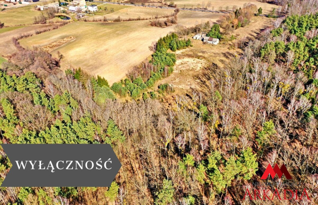 Działki z warunkami Gmina Wielgie