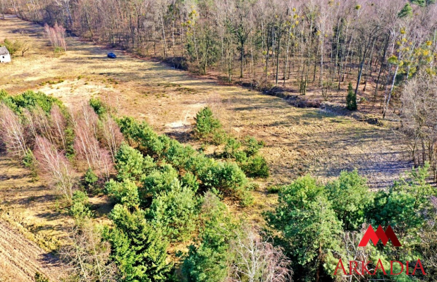 Działki z warunkami Gmina Wielgie