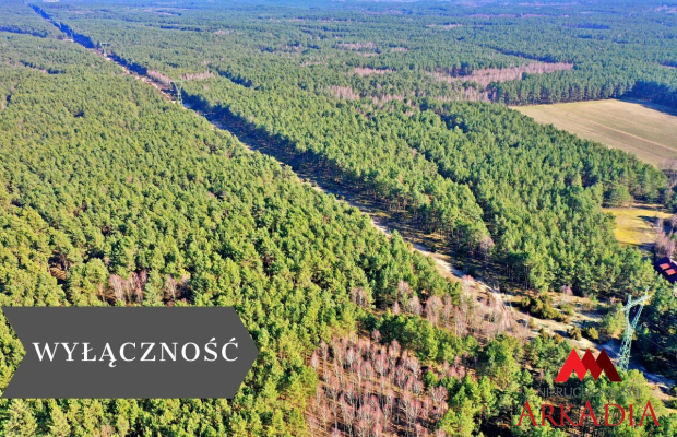 Działka las iglasty 40-50 letni, Bobrownickie Pole