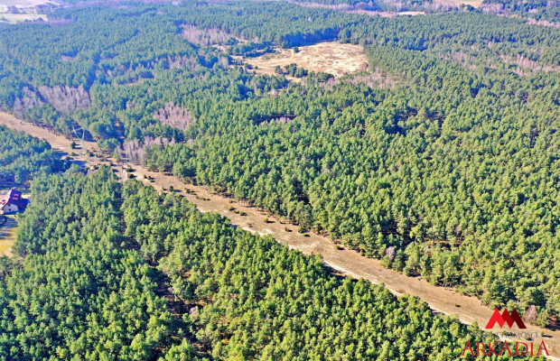 Działka las iglasty 40-50 letni, Bobrownickie Pole