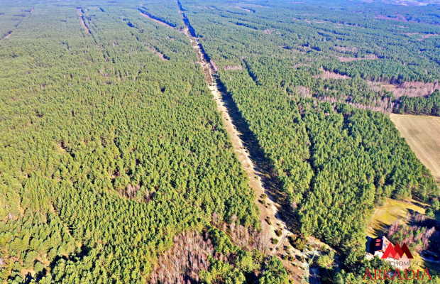Działka las iglasty 40-50 letni, Bobrownickie Pole