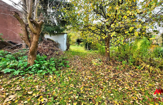 Działka ROD-Zawiśle Włocławek