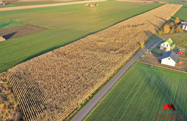 Arkadia Nieruchomości prezentuje wyjątkową działkę w Lubaniu - idealną inwestycję pod zabudowę mieszkaniową! 
 
 
LINK DO PREZE