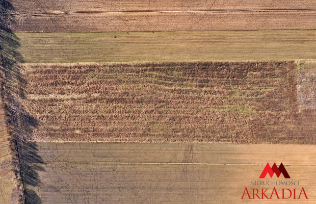 Działki Swiątkowice , Gmina Baruchowo 1000 m2