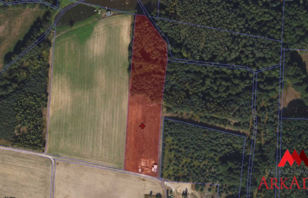 Arkadia Nieruchomości  oferuje na sprzedaż  niezabudowaną nieruchomość gruntową , położoną w  województwie kujawsko-pomorskim ,