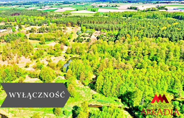 Działka Maliszewo/Lipno