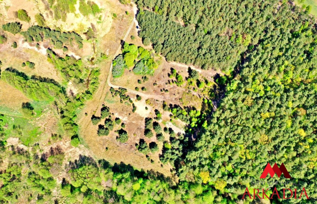 Działka Maliszewo/Lipno