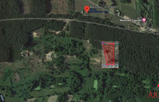 Działka Maliszewo/Lipno