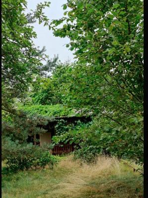 działka w Michalinie