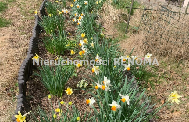 Działka budowlana 2414 m² z domkiem letniskowym – 