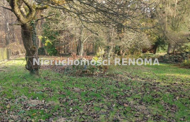 Działka budowlana 2414 m² z domkiem letniskowym – 