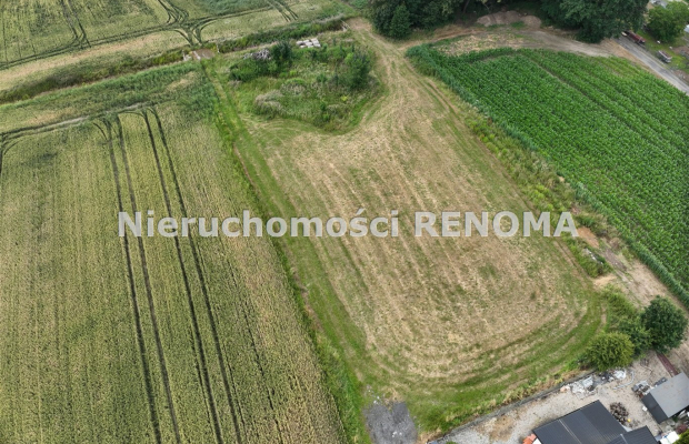 Na sprzedaż działka budowlano-rolna Krzyżowice