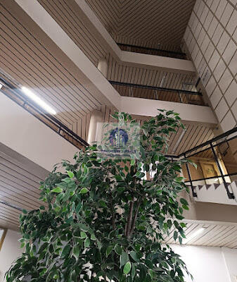 Wola: lokal biurowy na wynajem