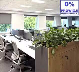 Wola: lokal biurowy na wynajem