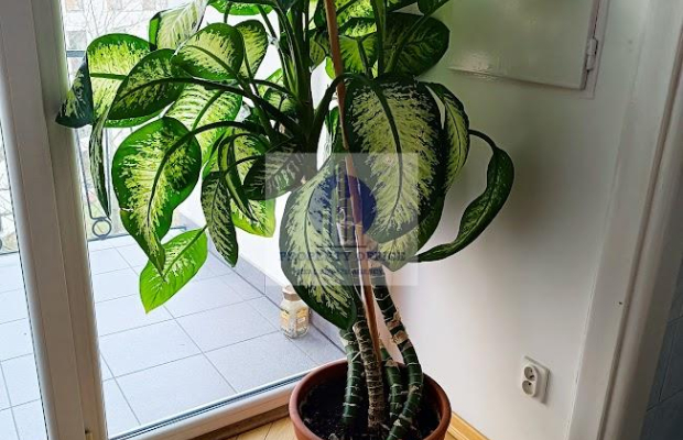 Śródmieście: lokal biurowy na wynajem