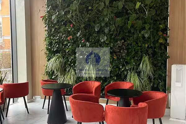 Śródmieście: lokal na usługi medyczne na wynajem