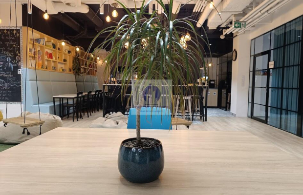 Śródmieście: biuro serwisowane na wynajem