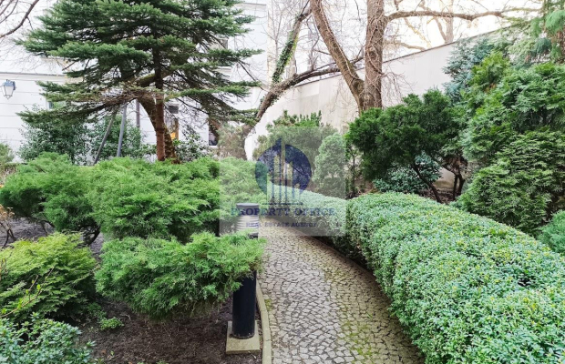 Śródmieście: lokal biurowy na wynajem