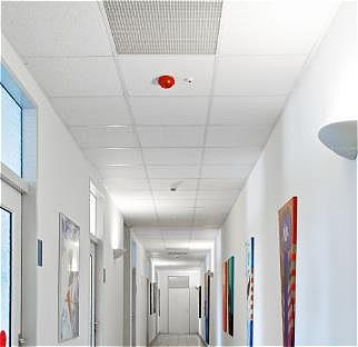 Targówek: lokal biurowy na wynajem