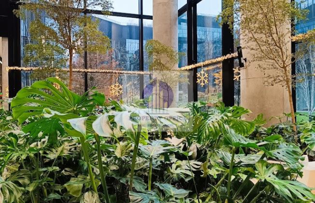 Żoliborz: lokal usługowo-handlowy na wynajem