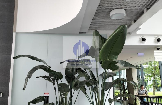 Ochota: lokal biurowy na wynajem