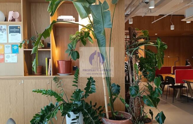 Śródmieście: umeblowane biuro na wynajem