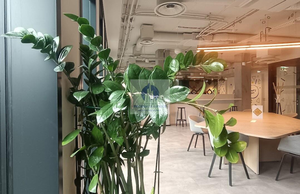 Śródmieście: biuro serwisowane na wynajem