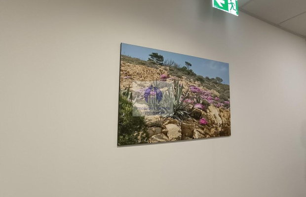 Śródmieście: biuro serwisowane na wynajem