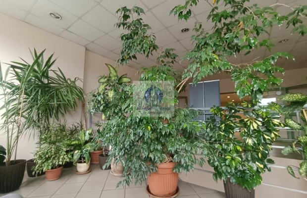 Praga Północ: lokal biurowy 51,43 m2 do wynajęcia