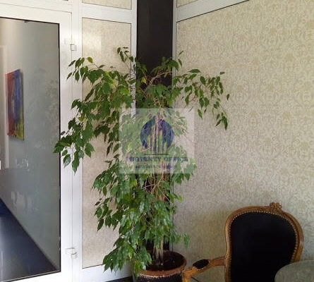 Wilanów : lokal biurowy 46m2 na wynajem