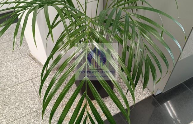 Targówek: lokal biurowy 35m2 na wynajem