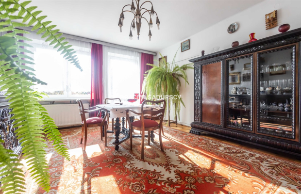 DOM Z ATRAKCYJNĄ, DUŻĄ DZIAŁKĄ 32 ARY INWESTYCJA