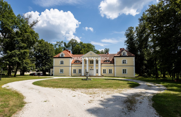 Historyczny Pałac w Radoszewnicy