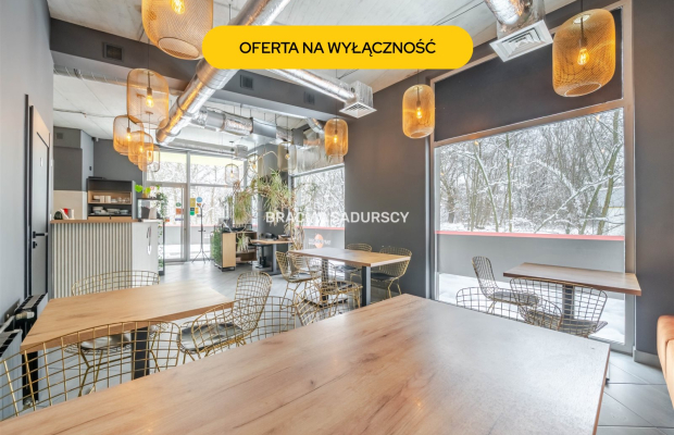 gotowy lokal gastronomiczny, ul. Borkowska, Kliny