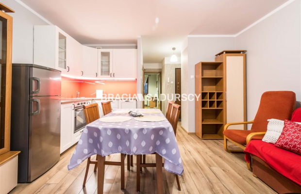 Mieszkanie dwupokojowe z aneksem Ruczaj