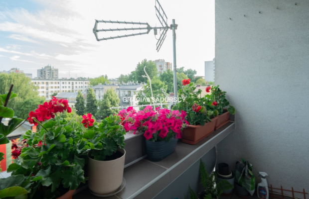 38m2, osiedle Podwawelskie, Stare Dębniki 