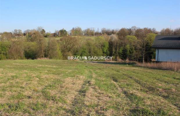 Duża działka budowlano leśna w LIbertowie