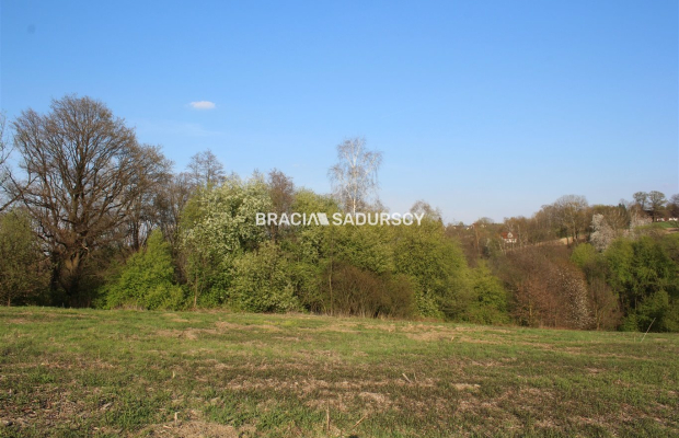 Duża działka budowlano leśna w LIbertowie