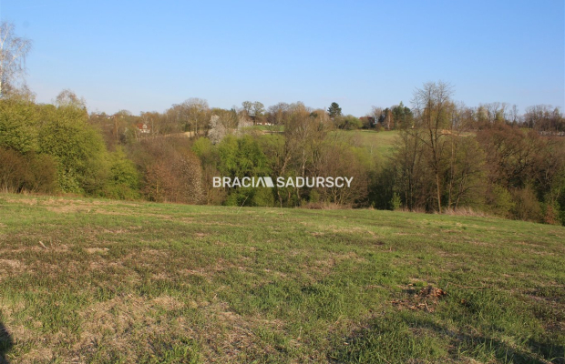 Duża działka budowlano leśna w LIbertowie