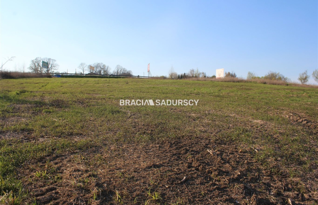 Duża działka budowlano leśna w LIbertowie