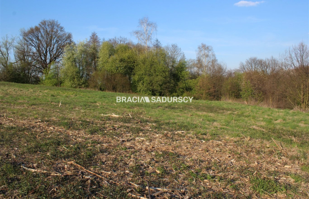 Duża działka budowlano leśna w LIbertowie