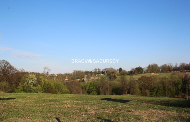 Duża działka budowlano leśna w LIbertowie