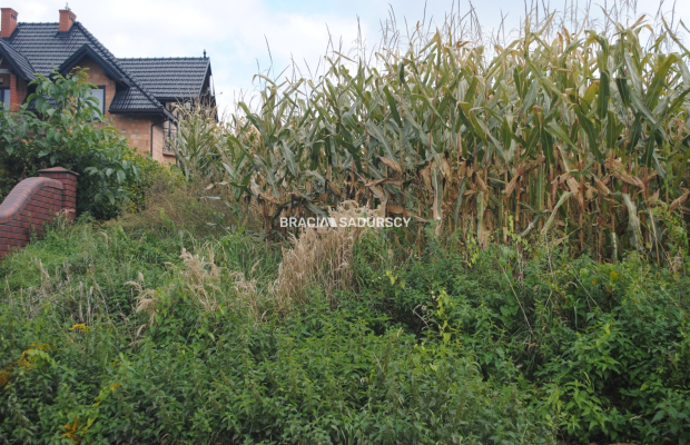 Działka budowlana w Proszowicach