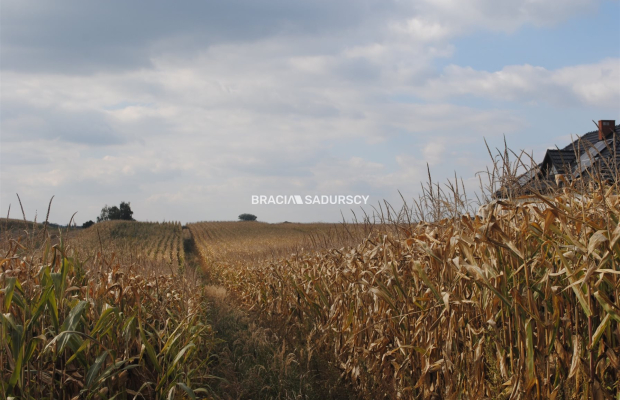 Działka budowlana w Proszowicach