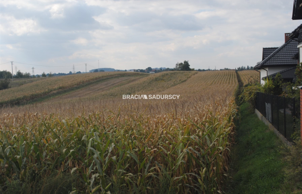 Działka budowlana w Proszowicach