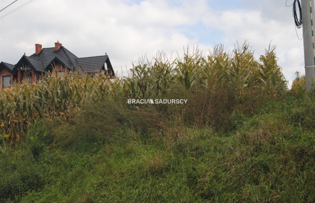 Działka budowlana w Proszowicach