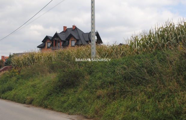 Działka budowlana w Proszowicach